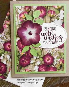 Get well card using Pressed Petals DSP