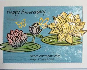 Lovely Lily Pad card