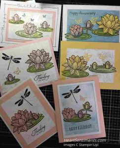 Lovely Lily Pad cards