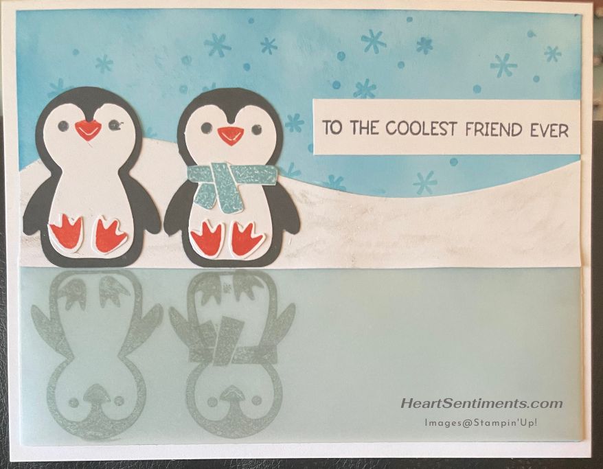 Penguins with mirror image reflection card